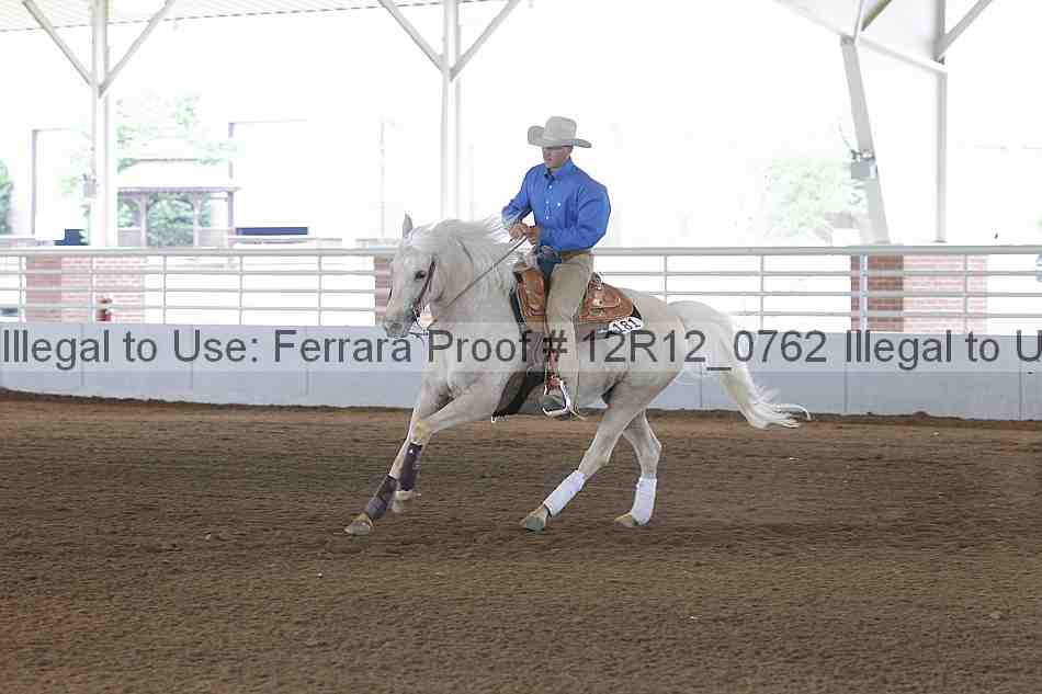 Proof Number 12r12_0762