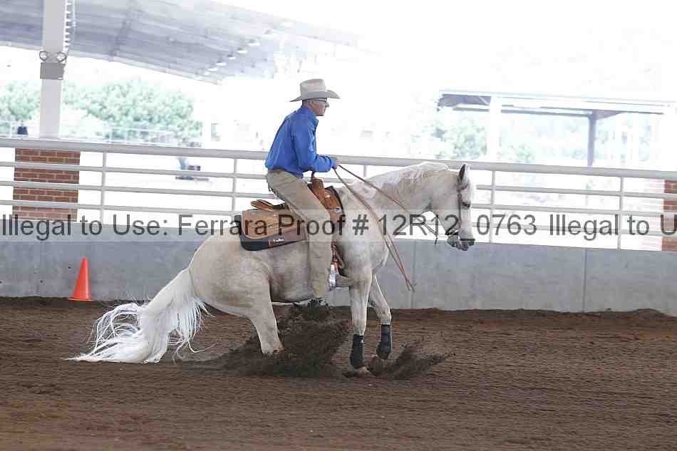 Proof Number 12r12_0763