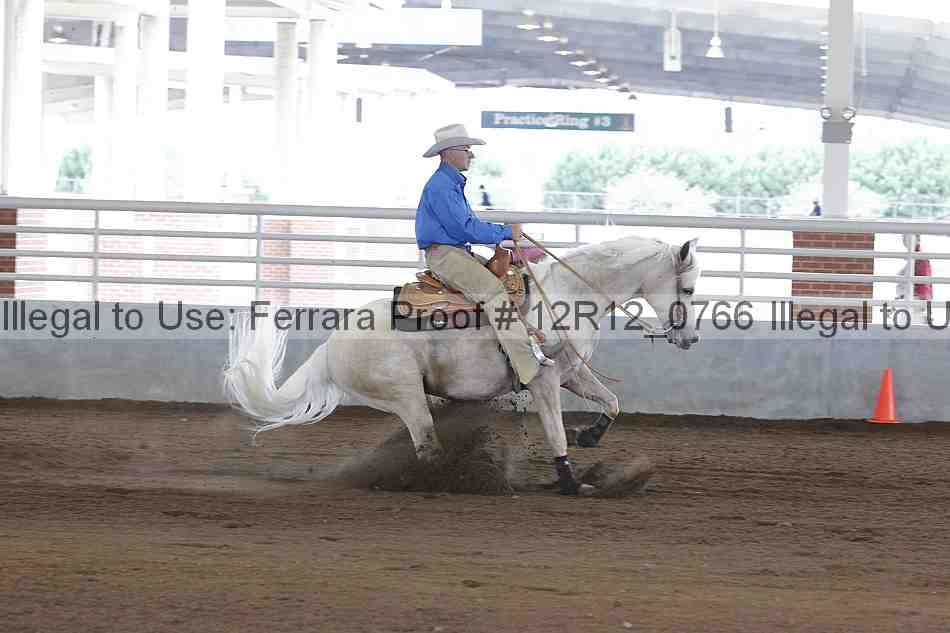 Proof Number 12r12_0766