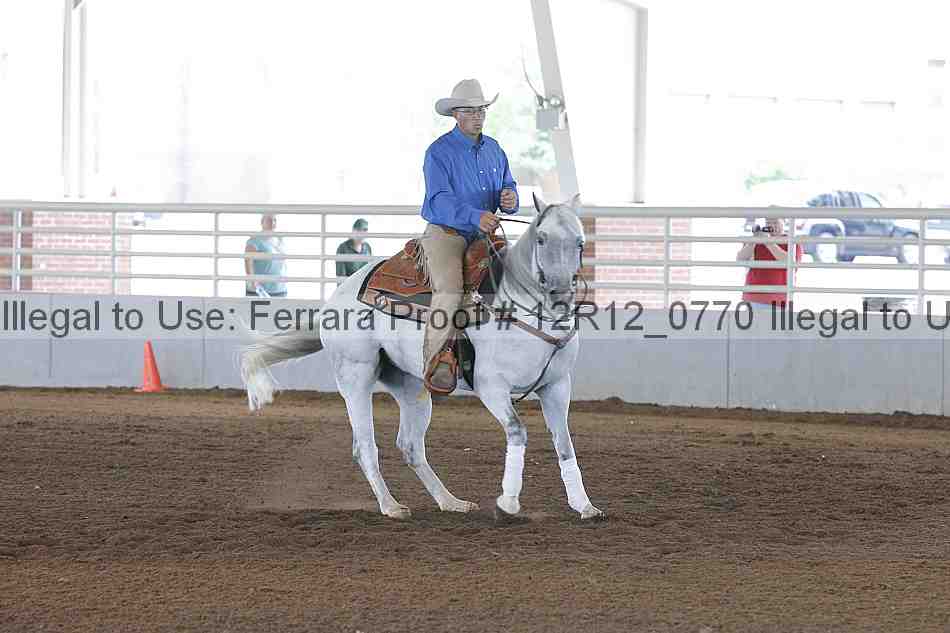 Proof Number 12r12_0770