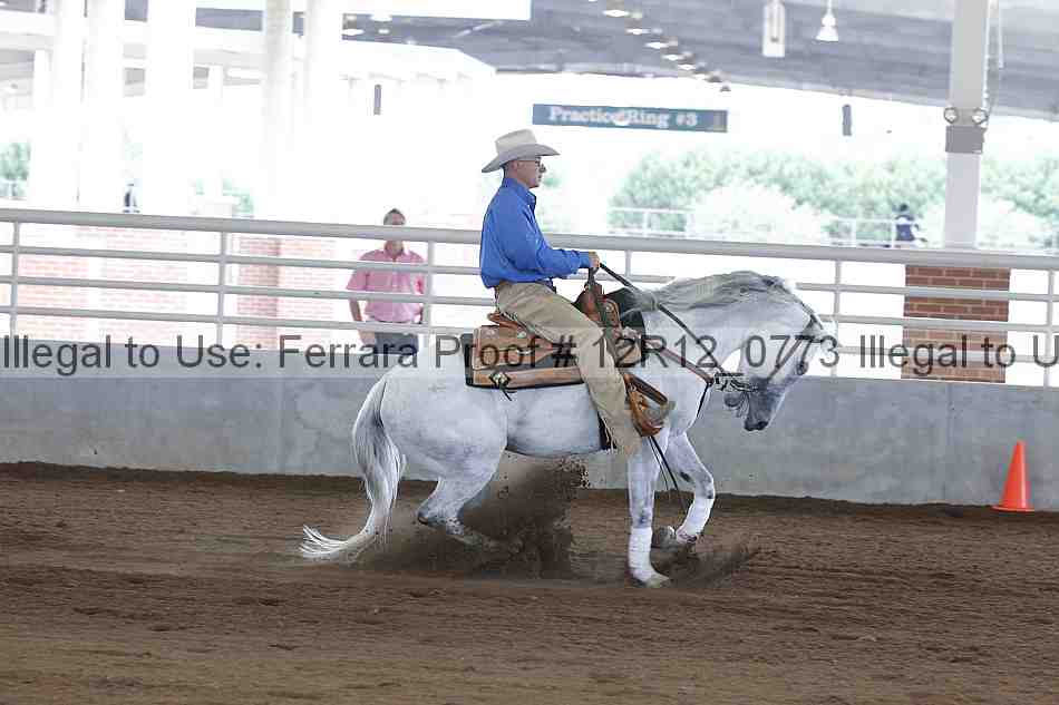 Proof Number 12r12_0773