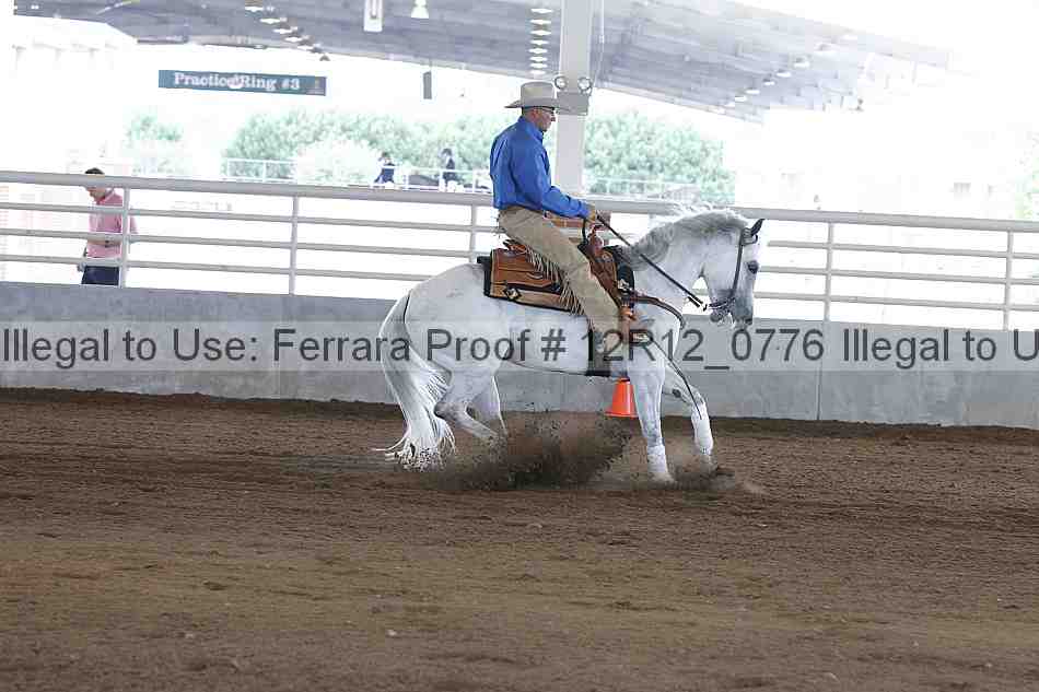 Proof Number 12r12_0776