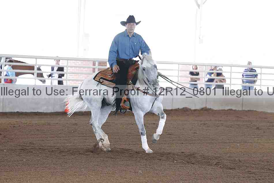 Proof Number 12r12_0801