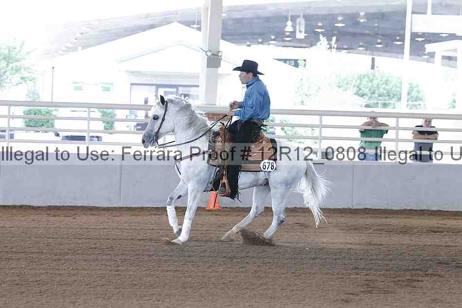 Proof Number 12r12_0808