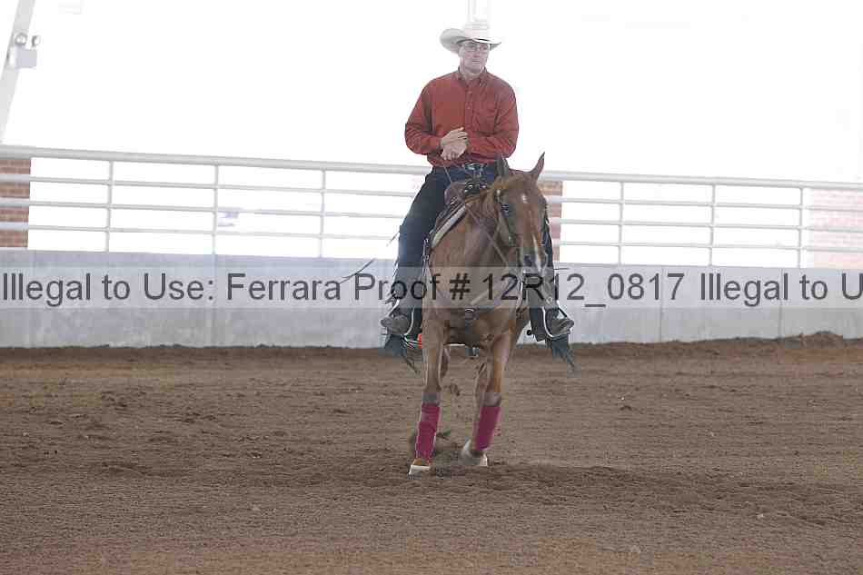 Proof Number 12r12_0817