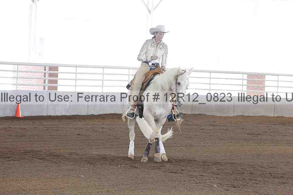 Proof Number 12r12_0823
