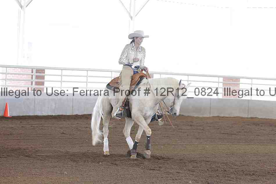 Proof Number 12r12_0824