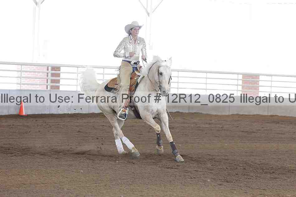 Proof Number 12r12_0825
