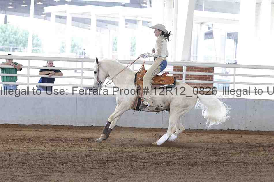 Proof Number 12r12_0826