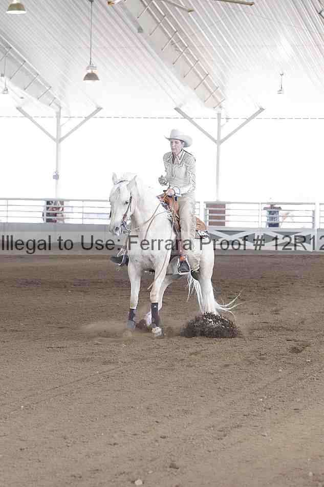 Proof Number 12r12_0828