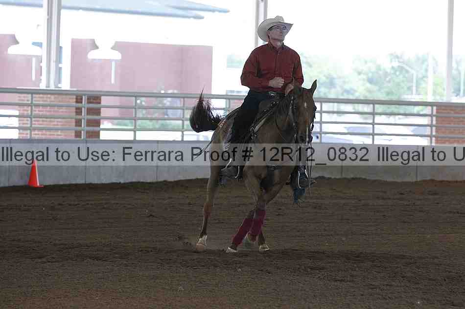 Proof Number 12r12_0832
