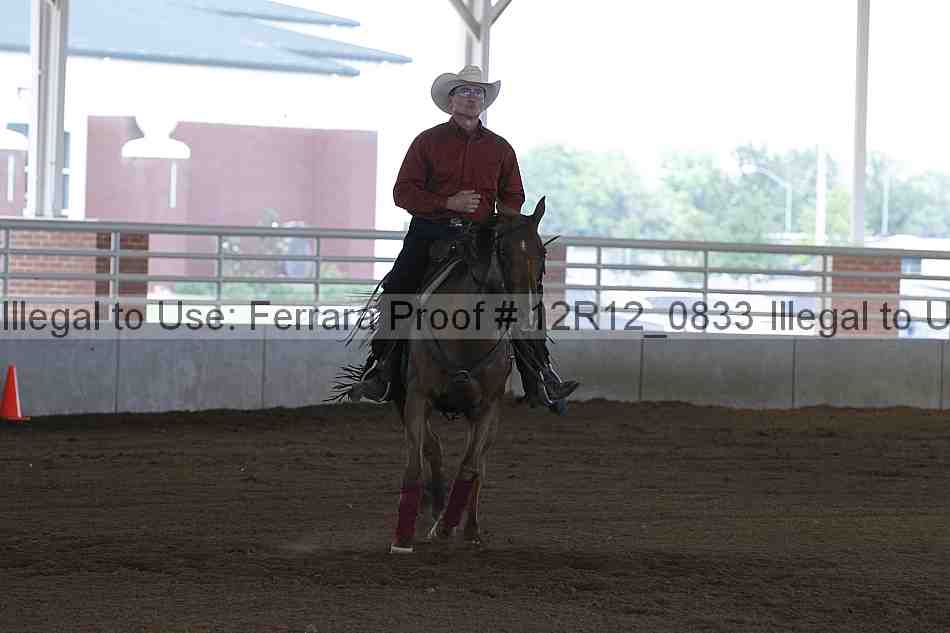 Proof Number 12r12_0833