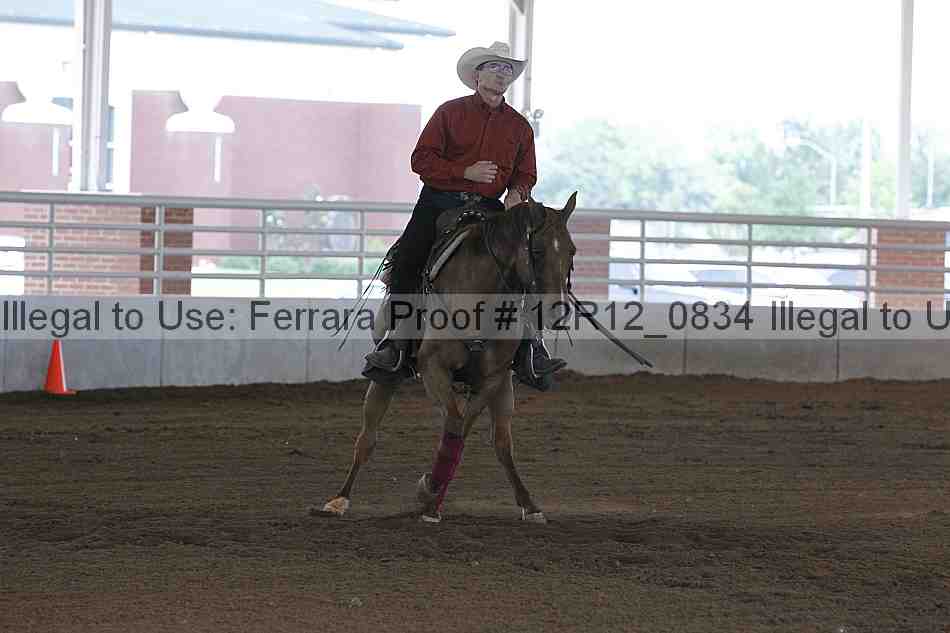 Proof Number 12r12_0834