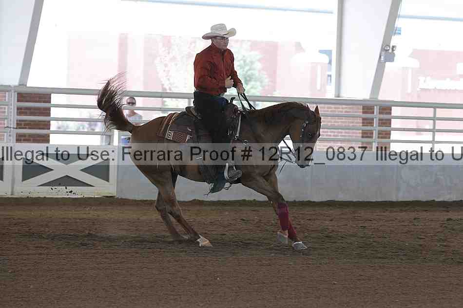 Proof Number 12r12_0837