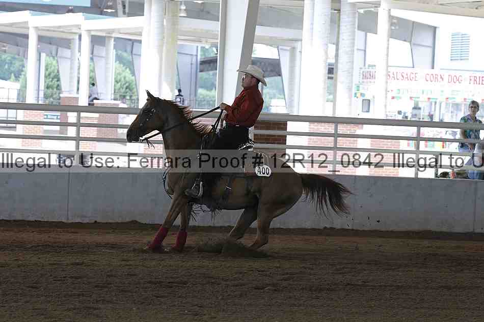 Proof Number 12r12_0842