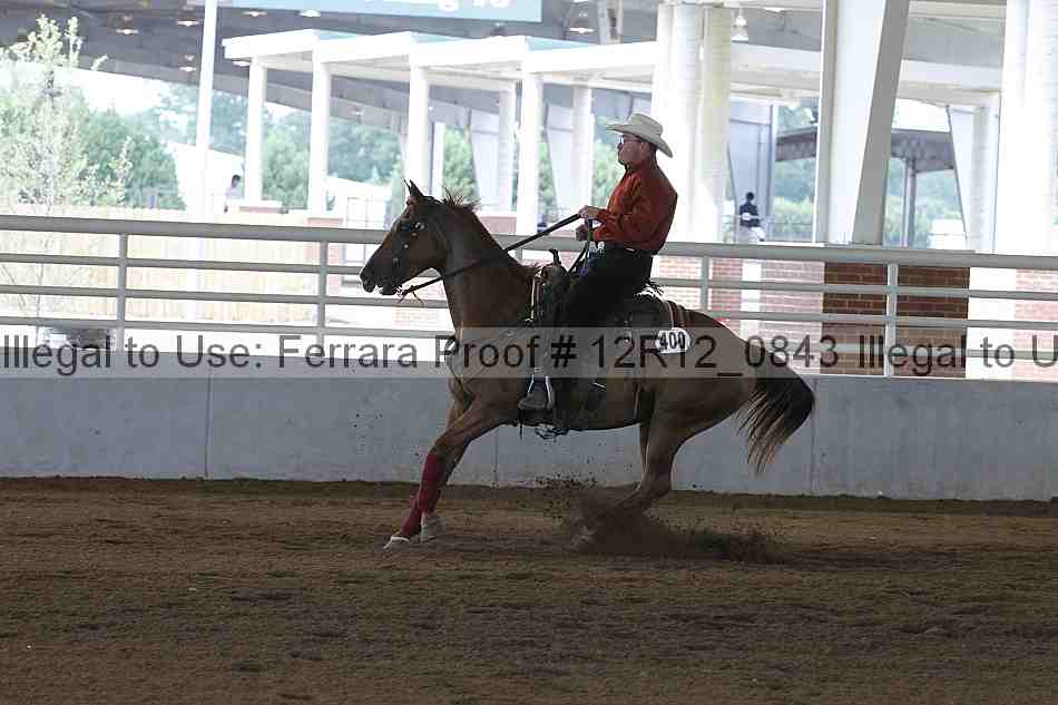 Proof Number 12r12_0843