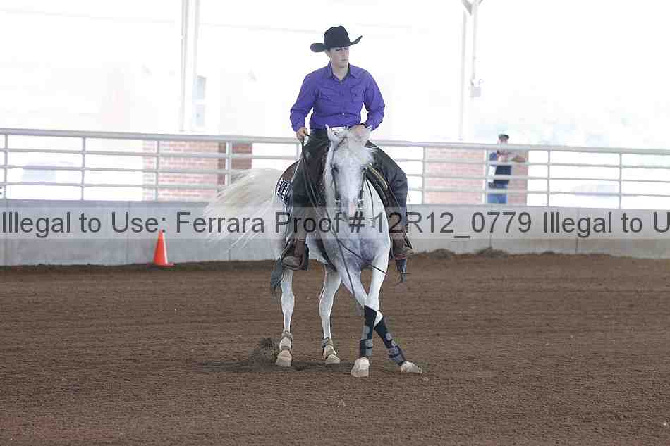 Proof Number 12r12_0779