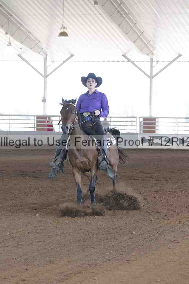 Proof Number 12r12_0796