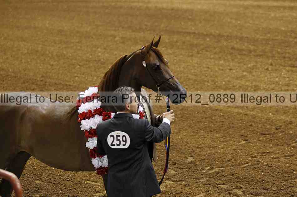 Proof Number 12r12_0889