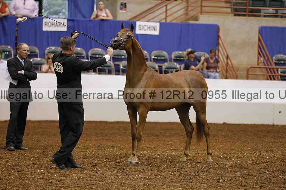 Proof Number 12r12_0955