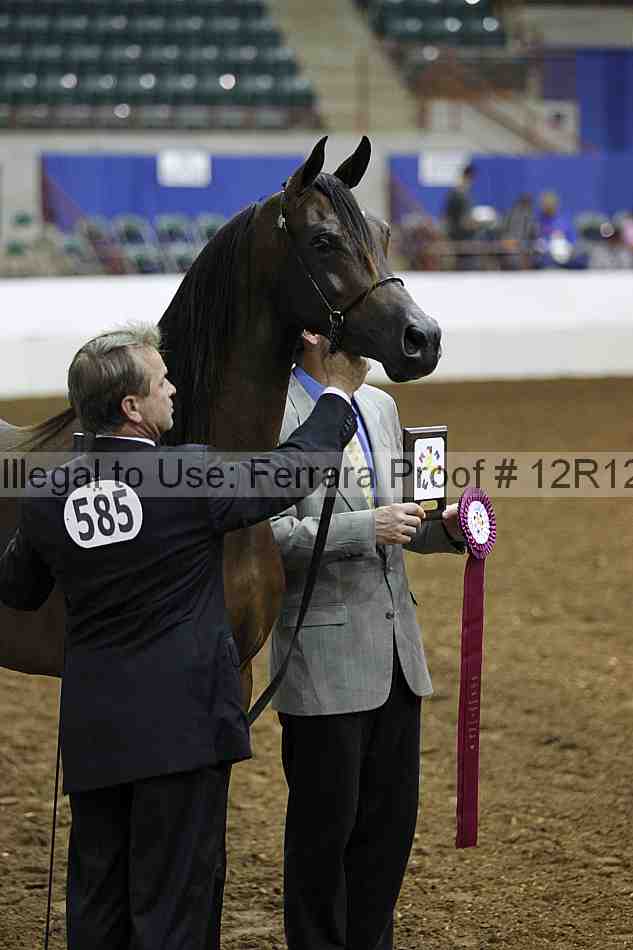 Proof Number 12r12_0982