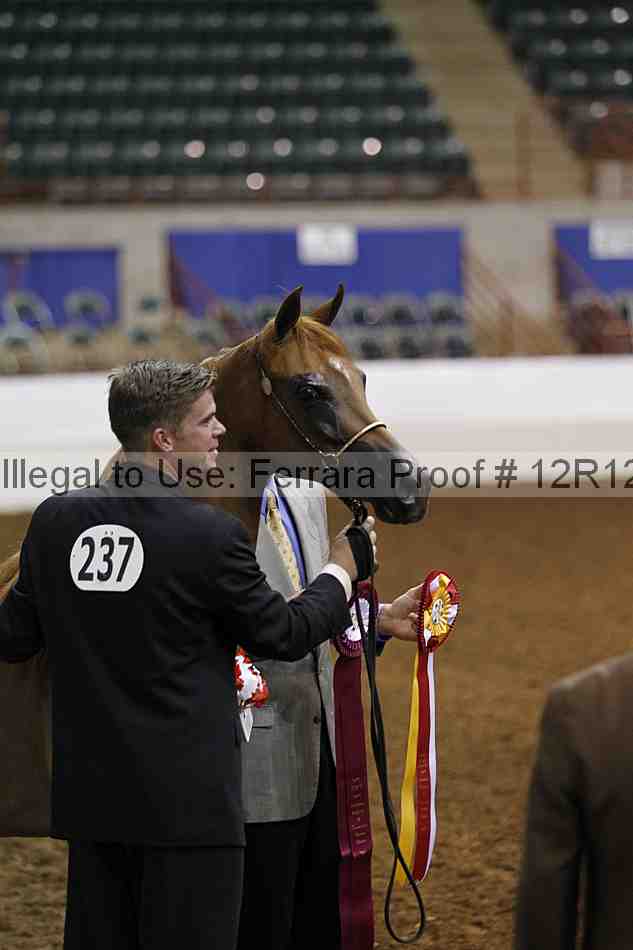 Proof Number 12r12_0987