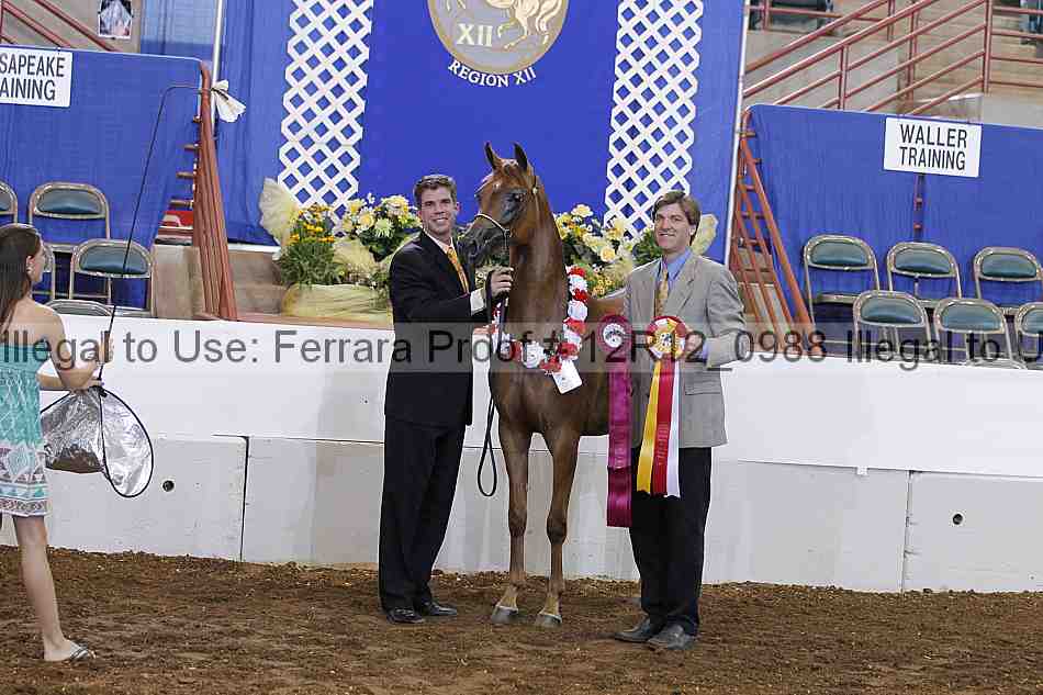 Proof Number 12r12_0988