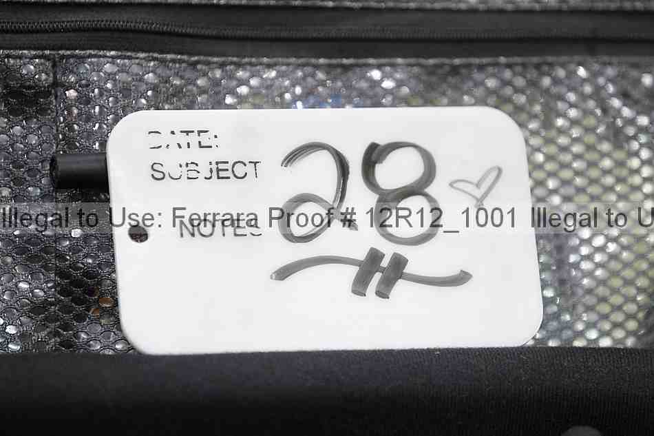Proof Number 12r12_1001