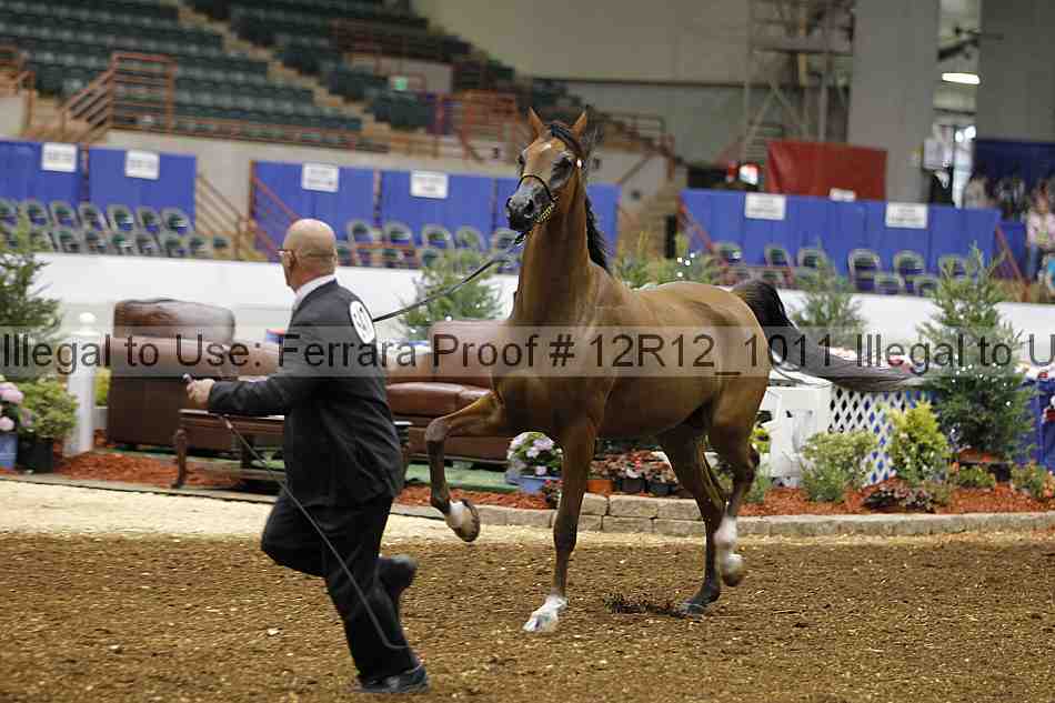 Proof Number 12r12_1011