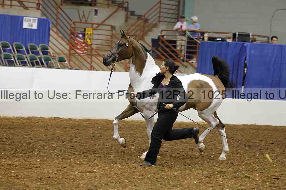Proof Number 12r12_1025