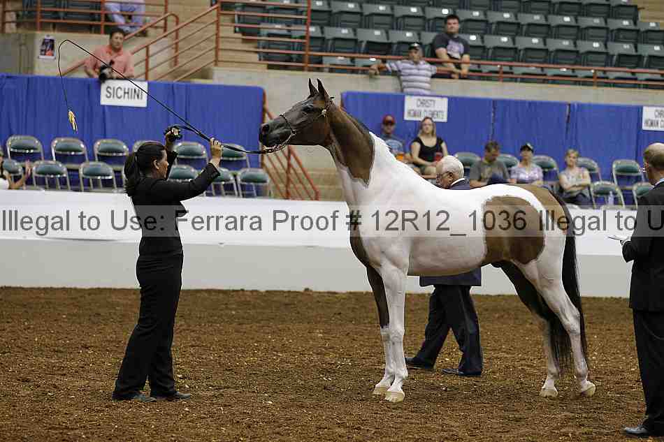 Proof Number 12r12_1036