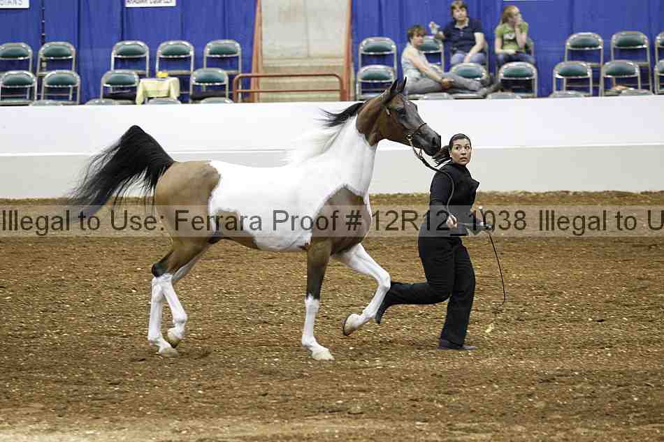 Proof Number 12r12_1038