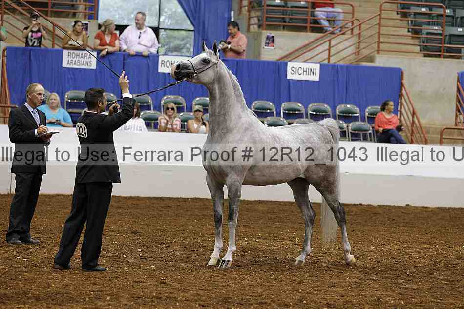 Proof Number 12r12_1043