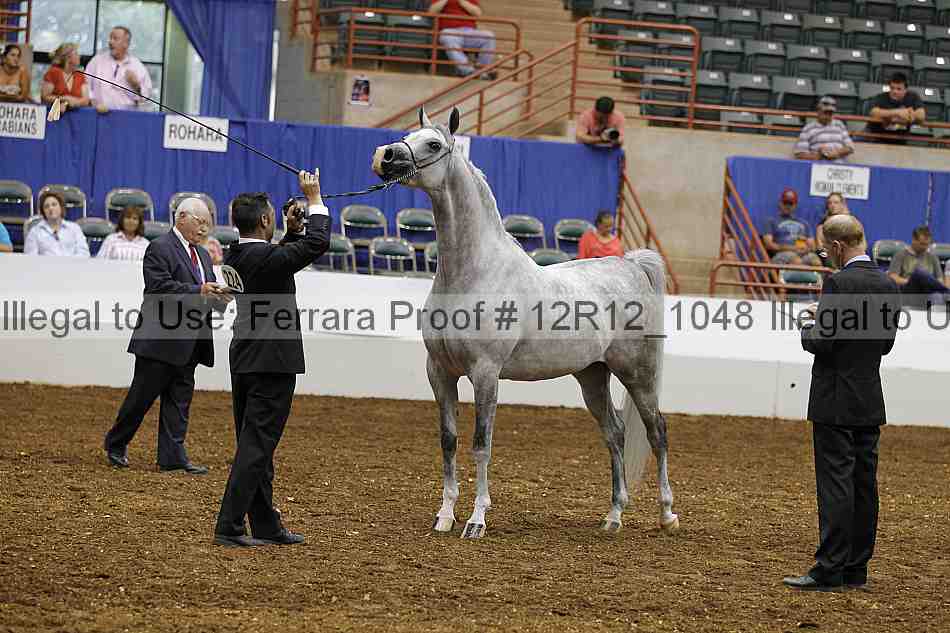 Proof Number 12r12_1048
