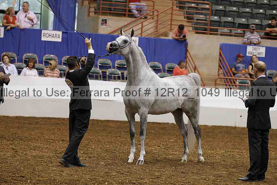 Proof Number 12r12_1049
