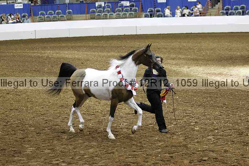 Proof Number 12r12_1059