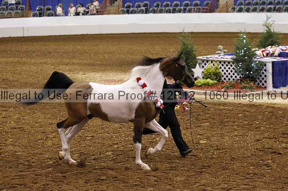 Proof Number 12r12_1060