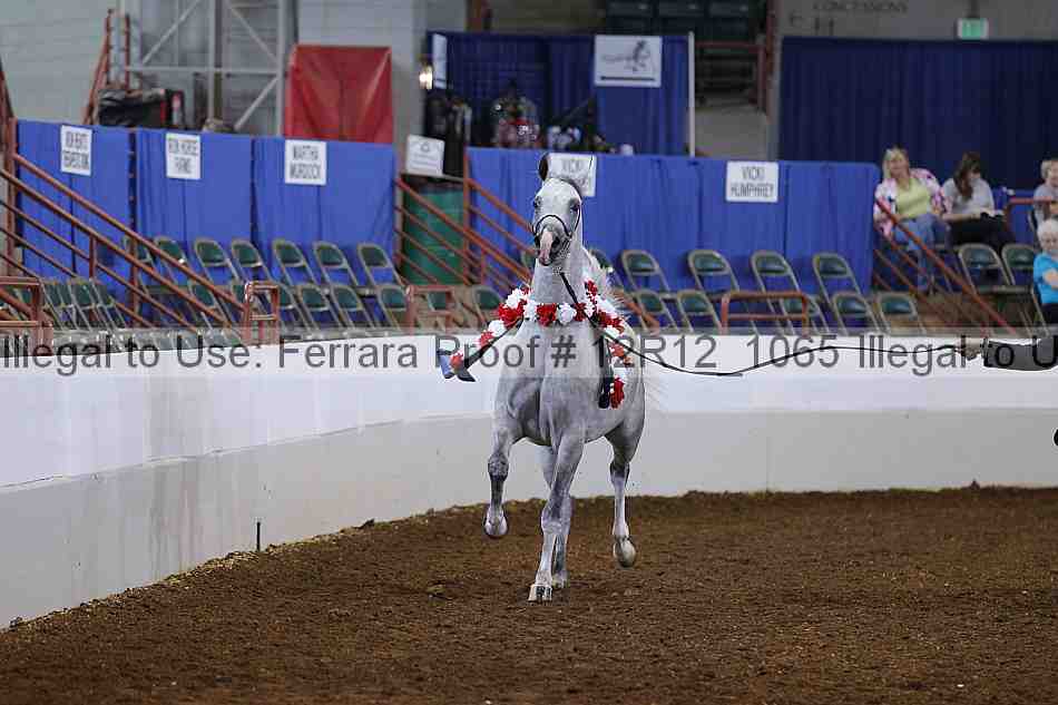 Proof Number 12r12_1065
