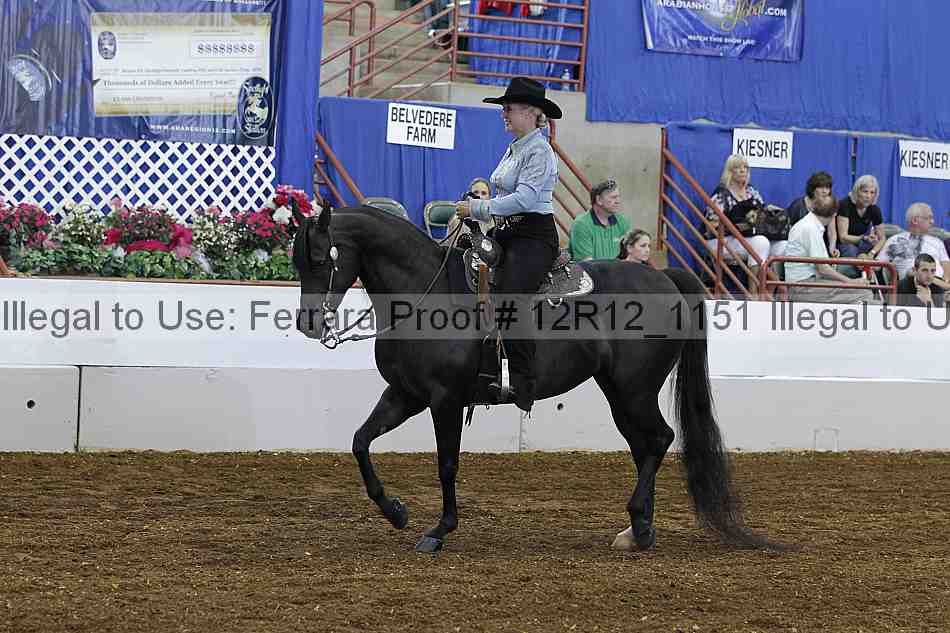 Proof Number 12r12_1151
