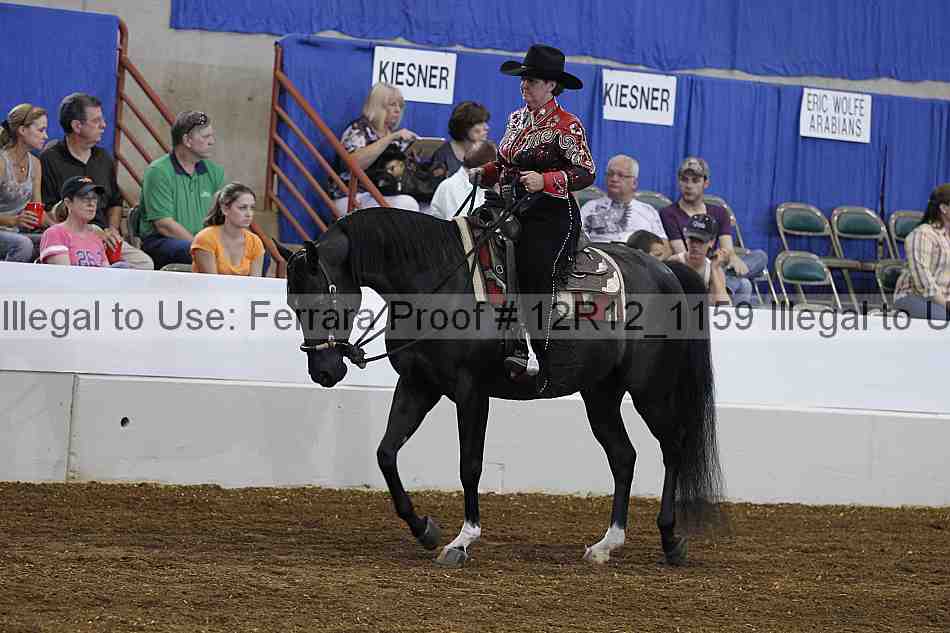 Proof Number 12r12_1159