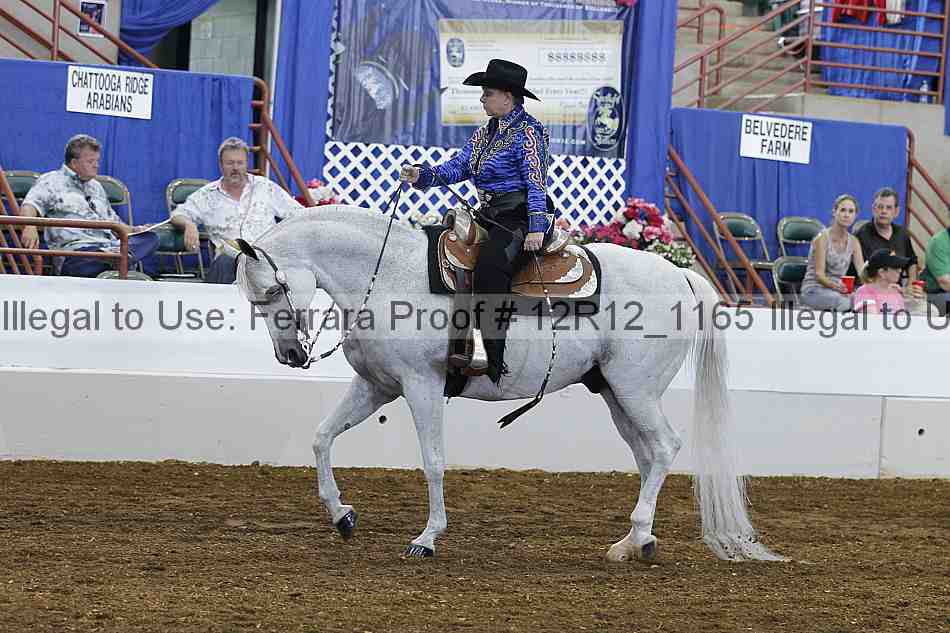 Proof Number 12r12_1165