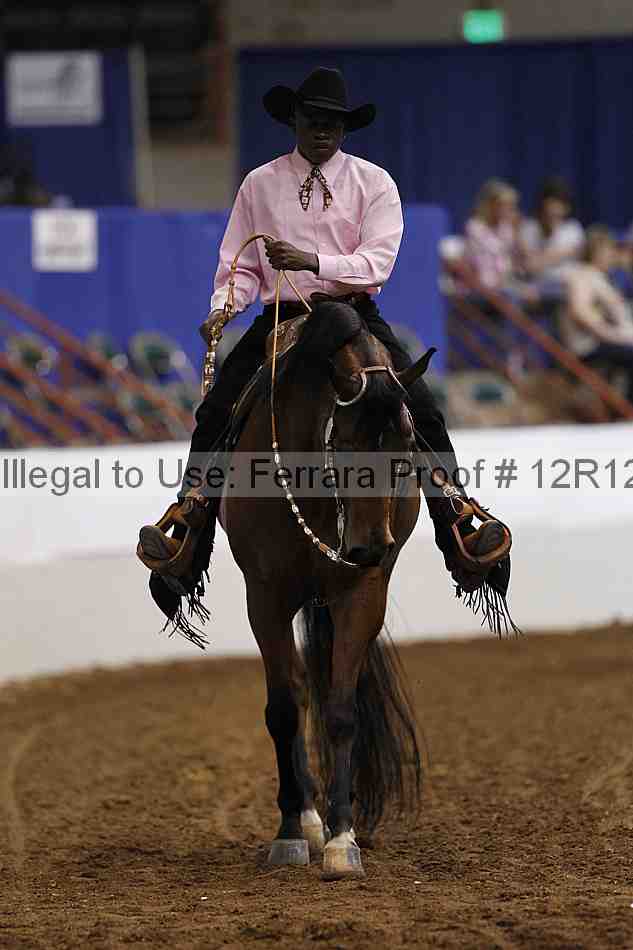 Proof Number 12r12_1166