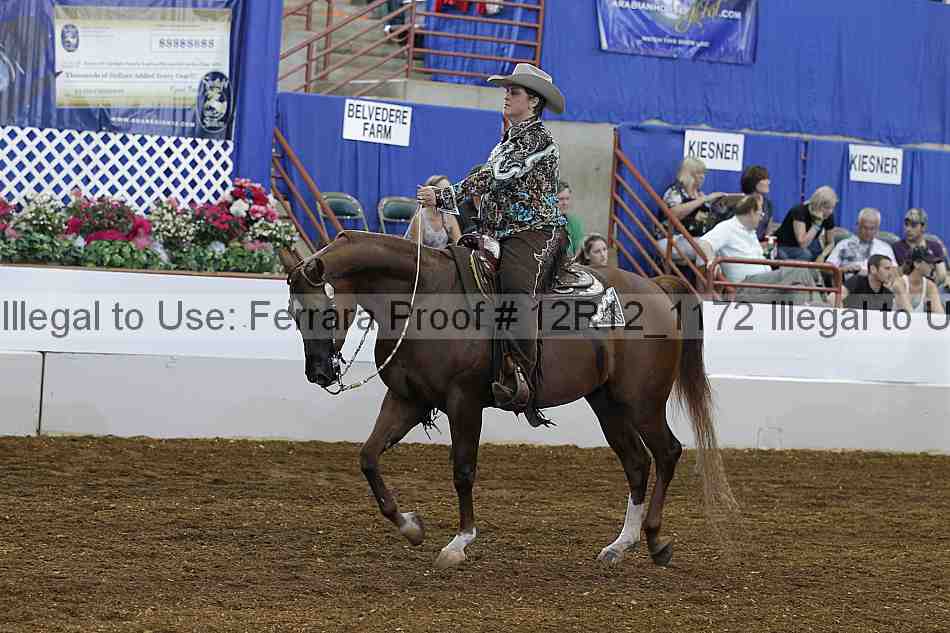 Proof Number 12r12_1172