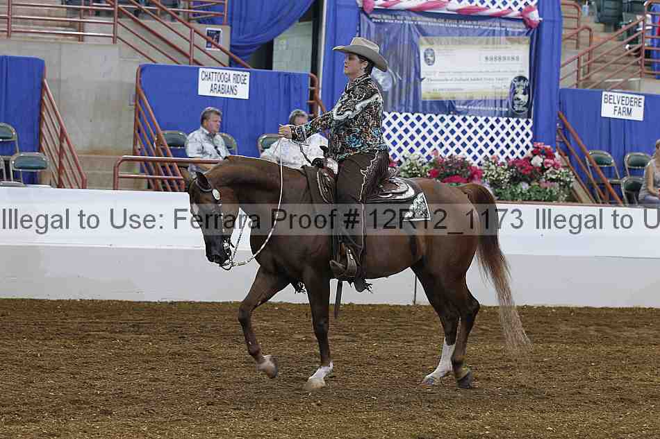 Proof Number 12r12_1173