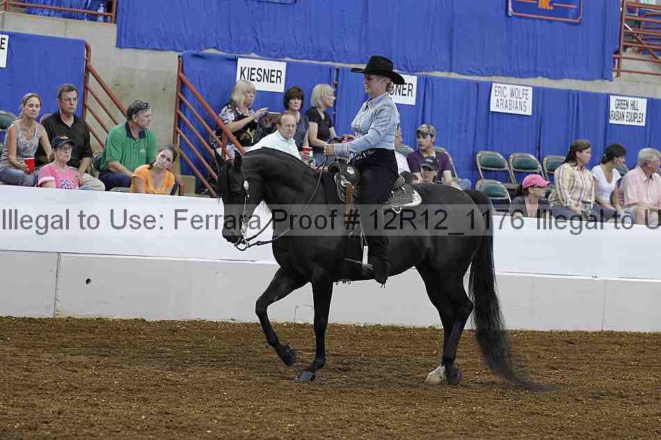 Proof Number 12r12_1176