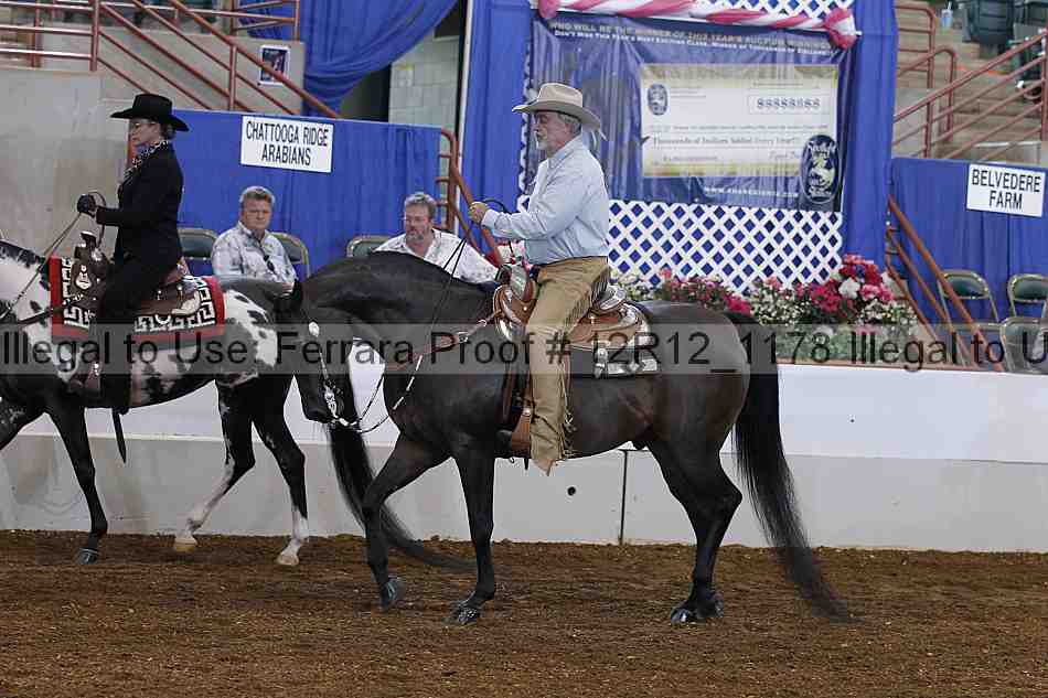 Proof Number 12r12_1178