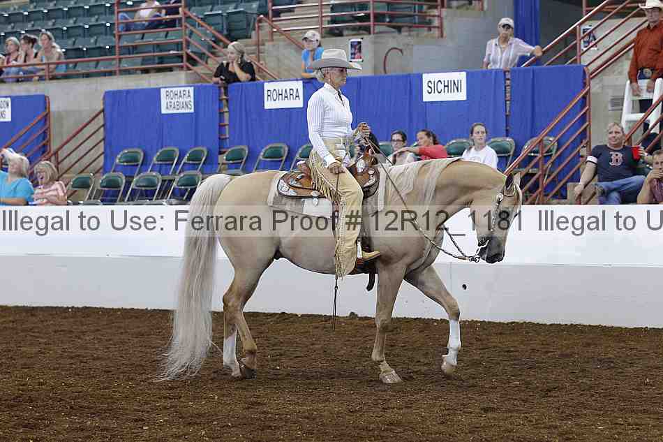 Proof Number 12r12_1181