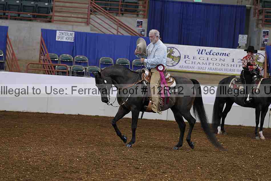 Proof Number 12r12_1196