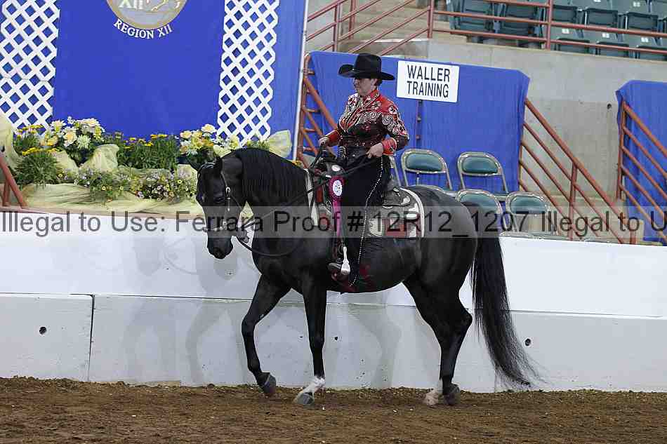 Proof Number 12r12_1207