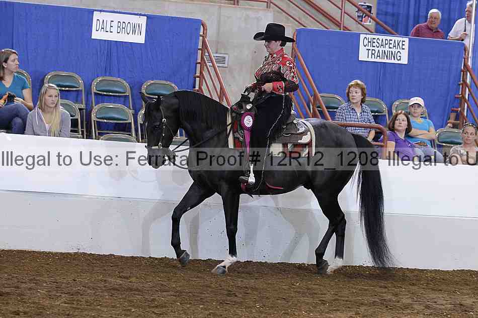 Proof Number 12r12_1208